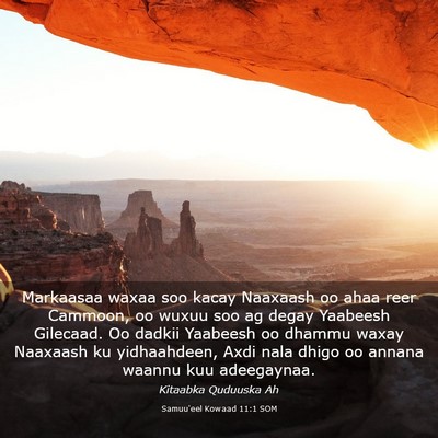 Picture 03 - Samuu'eel Kowaad 11:1 SOM - Markaasaa waxaa soo kacay Naaxaash oo ahaa reer - Bible Verse Picture