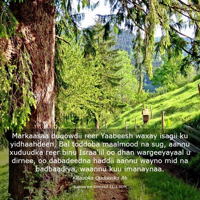 Picture 03 - Samuu'eel Kowaad 11:3 SOM - Markaasaa duqowdii reer Yaabeesh waxay isagii ku - Bible Verse Picture