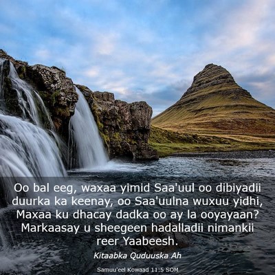 Picture 03 - Samuu'eel Kowaad 11:5 SOM - Oo bal eeg, waxaa yimid Saa'uul oo dibiyadii - Bible Verse Picture