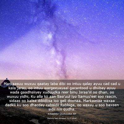 Picture 03 - Samuu'eel Kowaad 11:7 SOM - Markaasuu wuxuu qaatay laba dibi oo intuu qalay - Bible Verse Picture