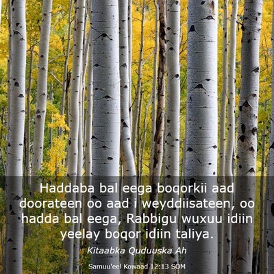Picture 03 - Samuu'eel Kowaad 12:13 SOM - Haddaba bal eega boqorkii aad doorateen oo aad i - Bible Verse Picture