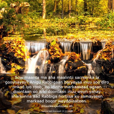 Picture 03 - Samuu'eel Kowaad 12:17 SOM - Sow maanta ma aha maalintii sarreenka la - Bible Verse Picture