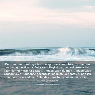 Picture 03 - Samuu'eel Kowaad 12:3 SOM - Bal waa i kan. Rabbiga hortiisa igu markhaati - Bible Verse Picture