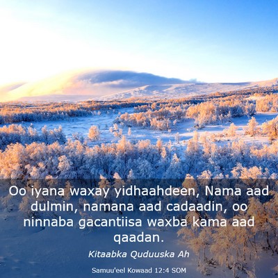 Picture 03 - Samuu'eel Kowaad 12:4 SOM - Oo iyana waxay yidhaahdeen, Nama aad dulmin, - Bible Verse Picture