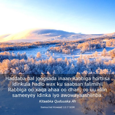 Picture 03 - Samuu'eel Kowaad 12:7 SOM - Haddaba bal joogsada inaan Rabbiga hortiisa - Bible Verse Picture