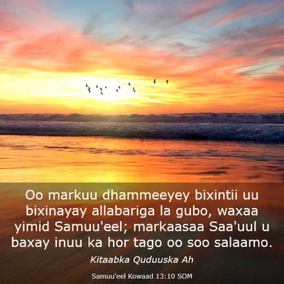 Picture 03 - Samuu'eel Kowaad 13:10 SOM - Oo markuu dhammeeyey bixintii uu bixinayay - Bible Verse Picture