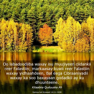 Picture 03 - Samuu'eel Kowaad 14:11 SOM - Oo labadoodiiba waxay isu muujiyeen ciidankii - Bible Verse Picture