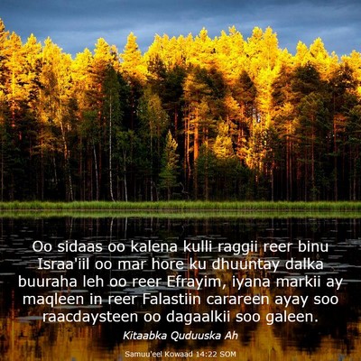 Picture 03 - Samuu'eel Kowaad 14:22 SOM - Oo sidaas oo kalena kulli raggii reer binu - Bible Verse Picture