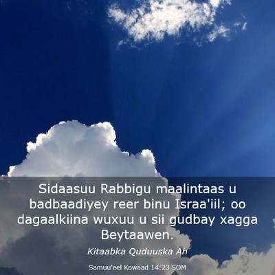 Picture 03 - Samuu'eel Kowaad 14:23 SOM - Sidaasuu Rabbigu maalintaas u badbaadiyey reer - Bible Verse Picture
