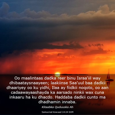 Picture 03 - Samuu'eel Kowaad 14:24 SOM - Oo maalintaas dadka reer binu Israa'iil way - Bible Verse Picture