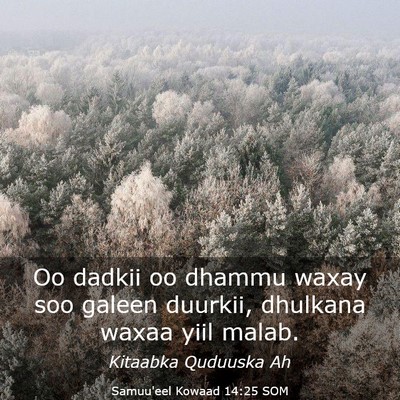 Picture 03 - Samuu'eel Kowaad 14:25 SOM - Oo dadkii oo dhammu waxay soo galeen duurkii, - Bible Verse Picture