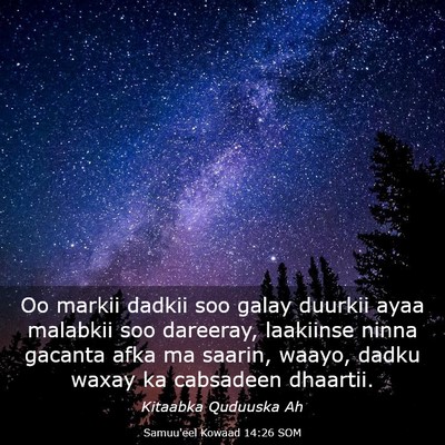 Picture 03 - Samuu'eel Kowaad 14:26 SOM - Oo markii dadkii soo galay duurkii ayaa malabkii - Bible Verse Picture