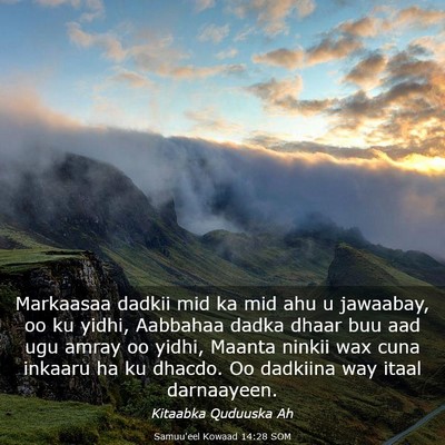 Picture 03 - Samuu'eel Kowaad 14:28 SOM - Markaasaa dadkii mid ka mid ahu u jawaabay, oo ku - Bible Verse Picture