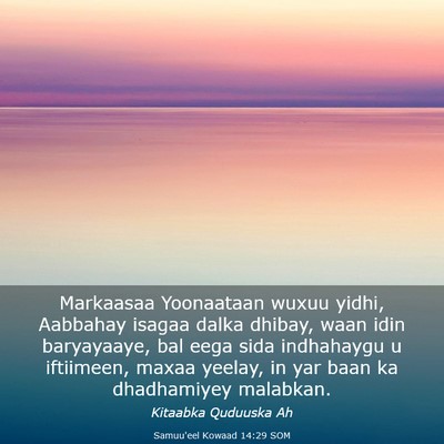 Picture 03 - Samuu'eel Kowaad 14:29 SOM - Markaasaa Yoonaataan wuxuu yidhi, Aabbahay isagaa - Bible Verse Picture