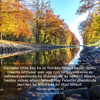 Picture 03 - Samuu'eel Kowaad 14:30 SOM - Haddaba intee bay ka sii fiicnaan lahayd haddii - Bible Verse Picture