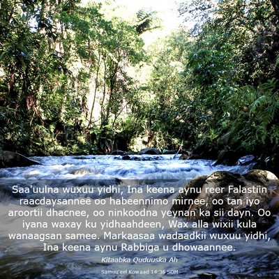 Picture 03 - Samuu'eel Kowaad 14:36 SOM - Saa'uulna wuxuu yidhi, Ina keena aynu reer - Bible Verse Picture