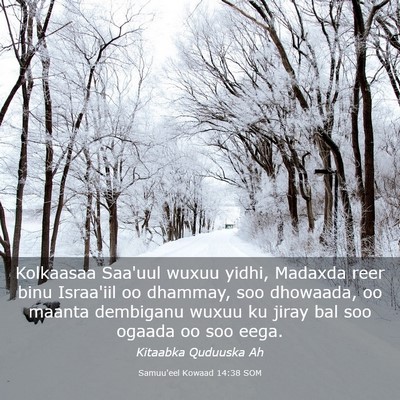 Picture 03 - Samuu'eel Kowaad 14:38 SOM - Kolkaasaa Saa'uul wuxuu yidhi, Madaxda reer binu - Bible Verse Picture