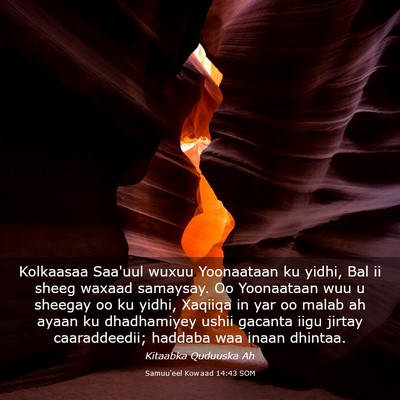 Picture 03 - Samuu'eel Kowaad 14:43 SOM - Kolkaasaa Saa'uul wuxuu Yoonaataan ku yidhi, Bal - Bible Verse Picture