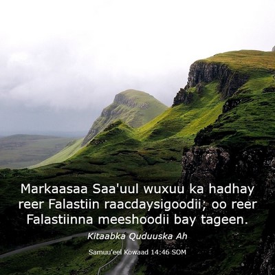 Picture 03 - Samuu'eel Kowaad 14:46 SOM - Markaasaa Saa'uul wuxuu ka hadhay reer Falastiin - Bible Verse Picture