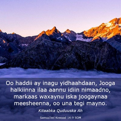 Picture 03 - Samuu'eel Kowaad 14:9 SOM - Oo haddii ay inagu yidhaahdaan, Jooga halkiinna - Bible Verse Picture