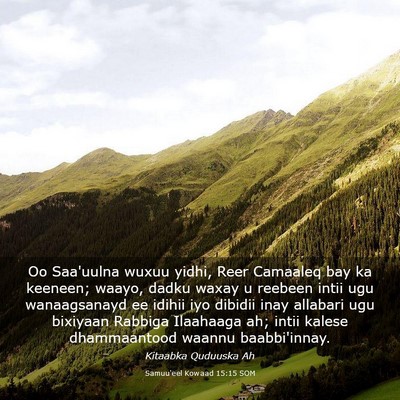 Picture 03 - Samuu'eel Kowaad 15:15 SOM - Oo Saa'uulna wuxuu yidhi, Reer Camaaleq bay ka - Bible Verse Picture