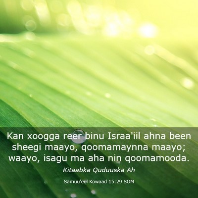 Picture 03 - Samuu'eel Kowaad 15:29 SOM - Kan xoogga reer binu Israa'iil ahna been sheegi - Bible Verse Picture