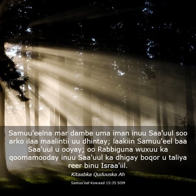 Picture 03 - Samuu'eel Kowaad 15:35 SOM - Samuu'eelna mar dambe uma iman inuu Saa'uul soo - Bible Verse Picture