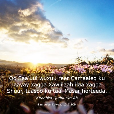 Picture 03 - Samuu'eel Kowaad 15:7 SOM - Oo Saa'uul wuxuu reer Camaaleq ku laayay xagga - Bible Verse Picture