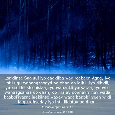 Picture 03 - Samuu'eel Kowaad 15:9 SOM - Laakiinse Saa'uul iyo dadkiiba way reebeen Agag, - Bible Verse Picture