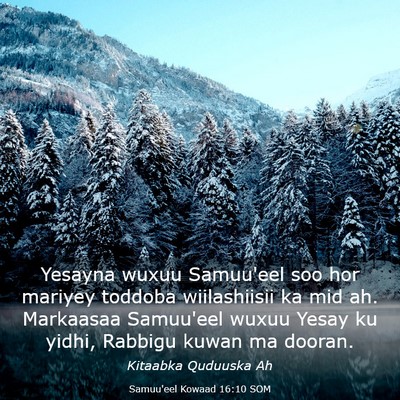 Picture 03 - Samuu'eel Kowaad 16:10 SOM - Yesayna wuxuu Samuu'eel soo hor mariyey toddoba - Bible Verse Picture