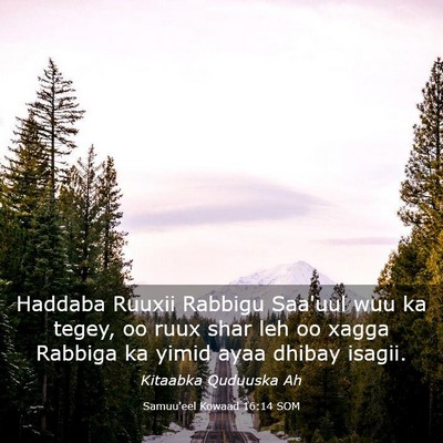 Picture 03 - Samuu'eel Kowaad 16:14 SOM - Haddaba Ruuxii Rabbigu Saa'uul wuu ka tegey, oo - Bible Verse Picture