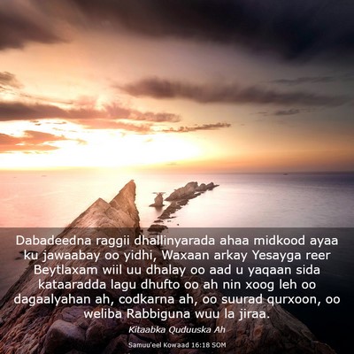 Picture 03 - Samuu'eel Kowaad 16:18 SOM - Dabadeedna raggii dhallinyarada ahaa midkood ayaa - Bible Verse Picture