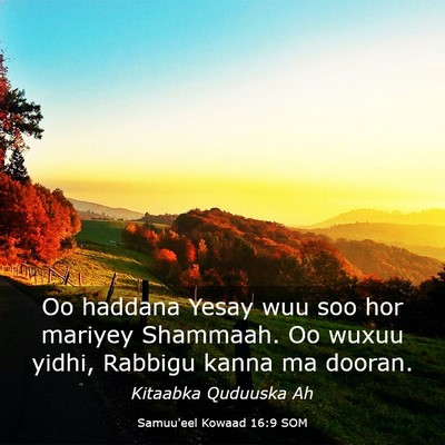 Picture 03 - Samuu'eel Kowaad 16:9 SOM - Oo haddana Yesay wuu soo hor mariyey Shammaah. Oo - Bible Verse Picture