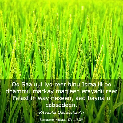 Picture 03 - Samuu'eel Kowaad 17:11 SOM - Oo Saa'uul iyo reer binu Israa'iil oo dhammu - Bible Verse Picture