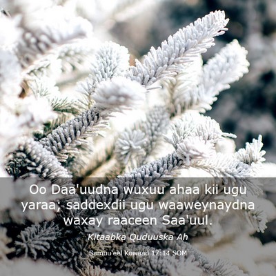 Picture 03 - Samuu'eel Kowaad 17:14 SOM - Oo Daa'uudna wuxuu ahaa kii ugu yaraa; saddexdii - Bible Verse Picture