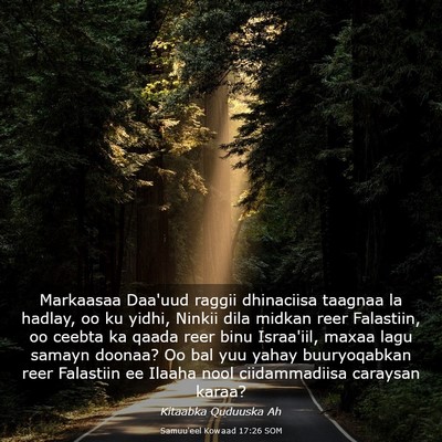 Picture 03 - Samuu'eel Kowaad 17:26 SOM - Markaasaa Daa'uud raggii dhinaciisa taagnaa la - Bible Verse Picture
