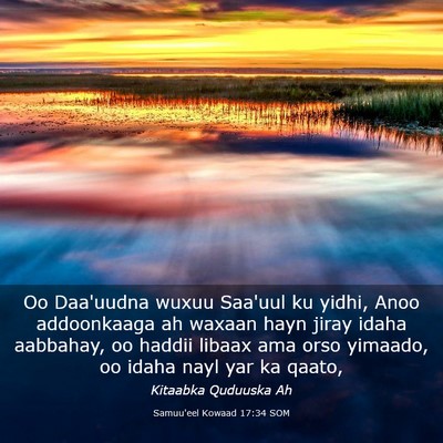 Picture 03 - Samuu'eel Kowaad 17:34 SOM - Oo Daa'uudna wuxuu Saa'uul ku yidhi, Anoo - Bible Verse Picture