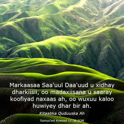 Picture 03 - Samuu'eel Kowaad 17:38 SOM - Markaasaa Saa'uul Daa'uud u xidhay dharkiisii, oo - Bible Verse Picture