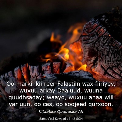 Picture 03 - Samuu'eel Kowaad 17:42 SOM - Oo markii kii reer Falastiin wax fiiriyey, wuxuu - Bible Verse Picture