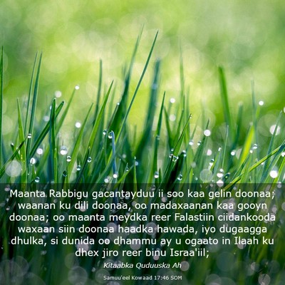 Picture 03 - Samuu'eel Kowaad 17:46 SOM - Maanta Rabbigu gacantayduu ii soo kaa gelin - Bible Verse Picture