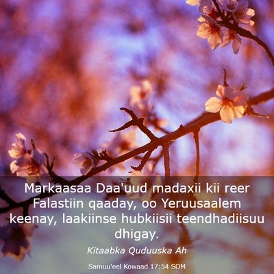 Picture 03 - Samuu'eel Kowaad 17:54 SOM - Markaasaa Daa'uud madaxii kii reer Falastiin - Bible Verse Picture