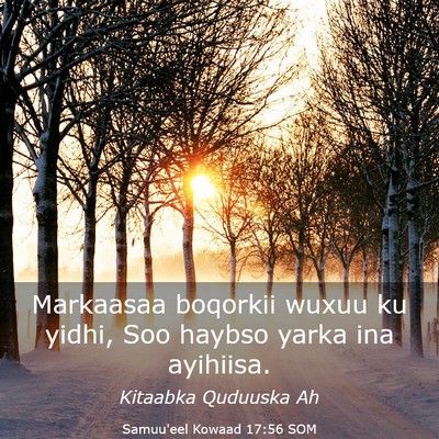Picture 03 - Samuu'eel Kowaad 17:56 SOM - Markaasaa boqorkii wuxuu ku yidhi, Soo haybso - Bible Verse Picture