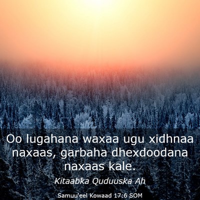 Picture 03 - Samuu'eel Kowaad 17:6 SOM - Oo lugahana waxaa ugu xidhnaa naxaas, garbaha - Bible Verse Picture