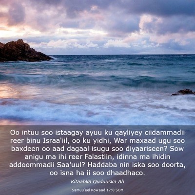 Picture 03 - Samuu'eel Kowaad 17:8 SOM - Oo intuu soo istaagay ayuu ku qayliyey - Bible Verse Picture