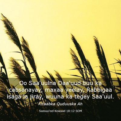 Picture 03 - Samuu'eel Kowaad 18:12 SOM - Oo Saa'uulna Daa'uud buu ka cabsanayay, maxaa - Bible Verse Picture