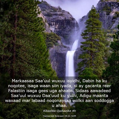 Picture 03 - Samuu'eel Kowaad 18:21 SOM - Markaasaa Saa'uul wuxuu isyidhi, Dabin ha ku - Bible Verse Picture