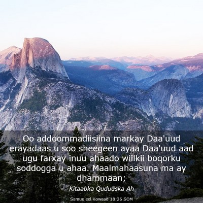 Picture 03 - Samuu'eel Kowaad 18:26 SOM - Oo addoommadiisiina markay Daa'uud erayadaas u - Bible Verse Picture