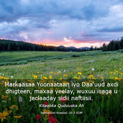 Picture 03 - Samuu'eel Kowaad 18:3 SOM - Markaasaa Yoonaataan iyo Daa'uud axdi dhigteen, - Bible Verse Picture