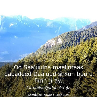 Picture 03 - Samuu'eel Kowaad 18:9 SOM - Oo Saa'uulna maalintaas dabadeed Daa'uud si xun - Bible Verse Picture