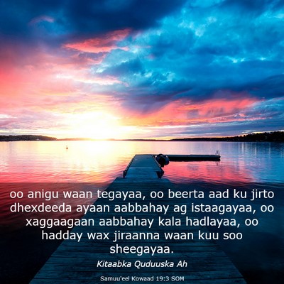 Picture 03 - Samuu'eel Kowaad 19:3 SOM - oo anigu waan tegayaa, oo beerta aad ku jirto - Bible Verse Picture